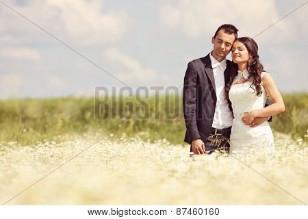 Bride And Groom Posing In The Fields
