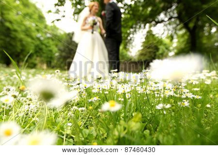 Bride and groom embracing in park