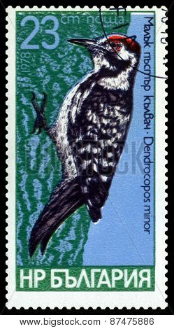 Vintage  Postage Stamp.  Bird, Lesser Spotted.