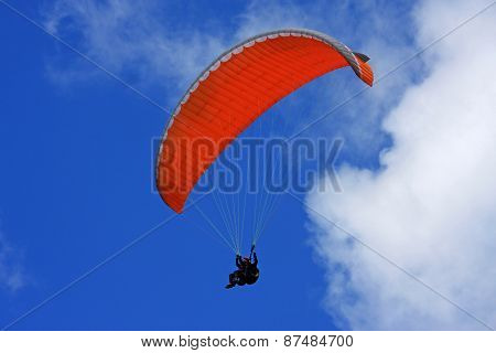 Paraglider