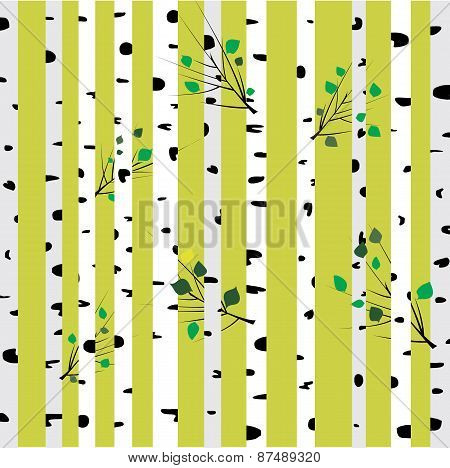 Birch three