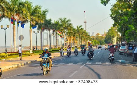 Parade Of Palms