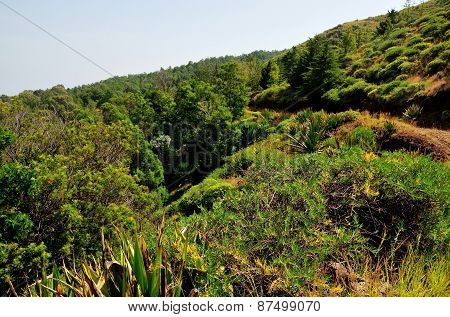 Road Via Sera