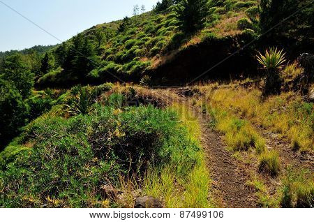 Dirt Road Cuts Through Mountain