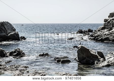 Sea rocks and waves