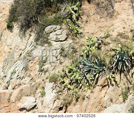 rocks and ground in sunny day