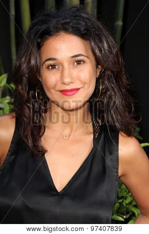 LOS ANGELES - JUL 29:  Emmanuelle Chriqui at the 