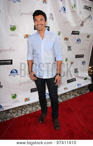 LOS ANGELES - JUL 29:  Ian Anthony Dale at the 