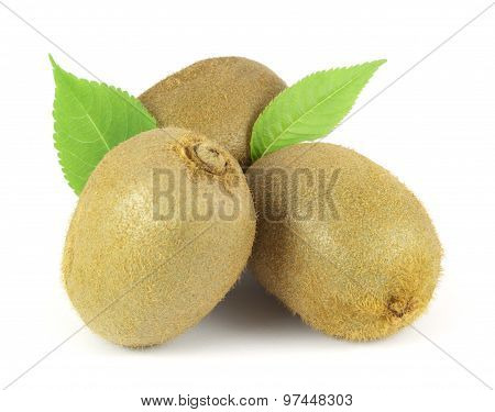 Three whole kiwi fruits with leafs isolated on white background