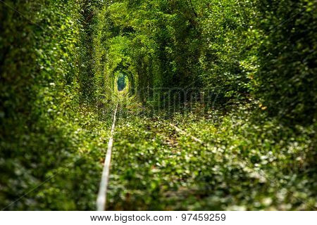 Love tunnel