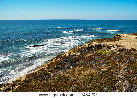 Seascape At Vila Nova De Milfontes, Portugal