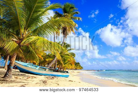 Caribbean Beach In Dominican Republic