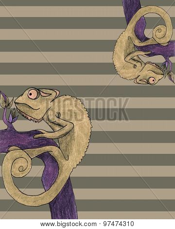 Chameleon Card Vector Illustration