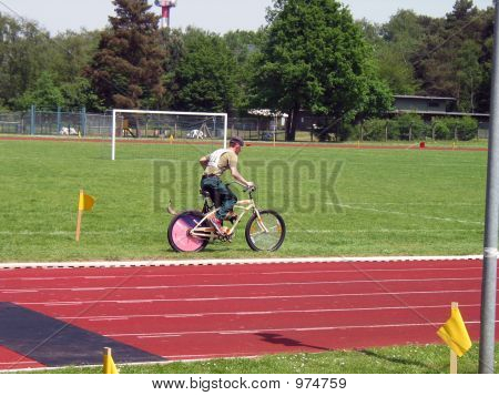 Vélo
