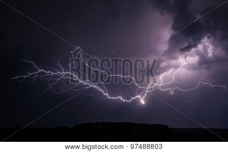 Elegant Lightning Tree
