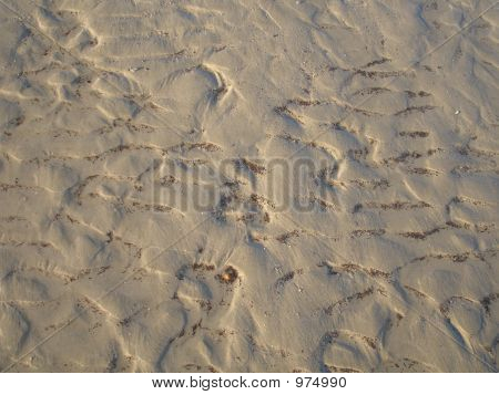 Våd Sea Sand
