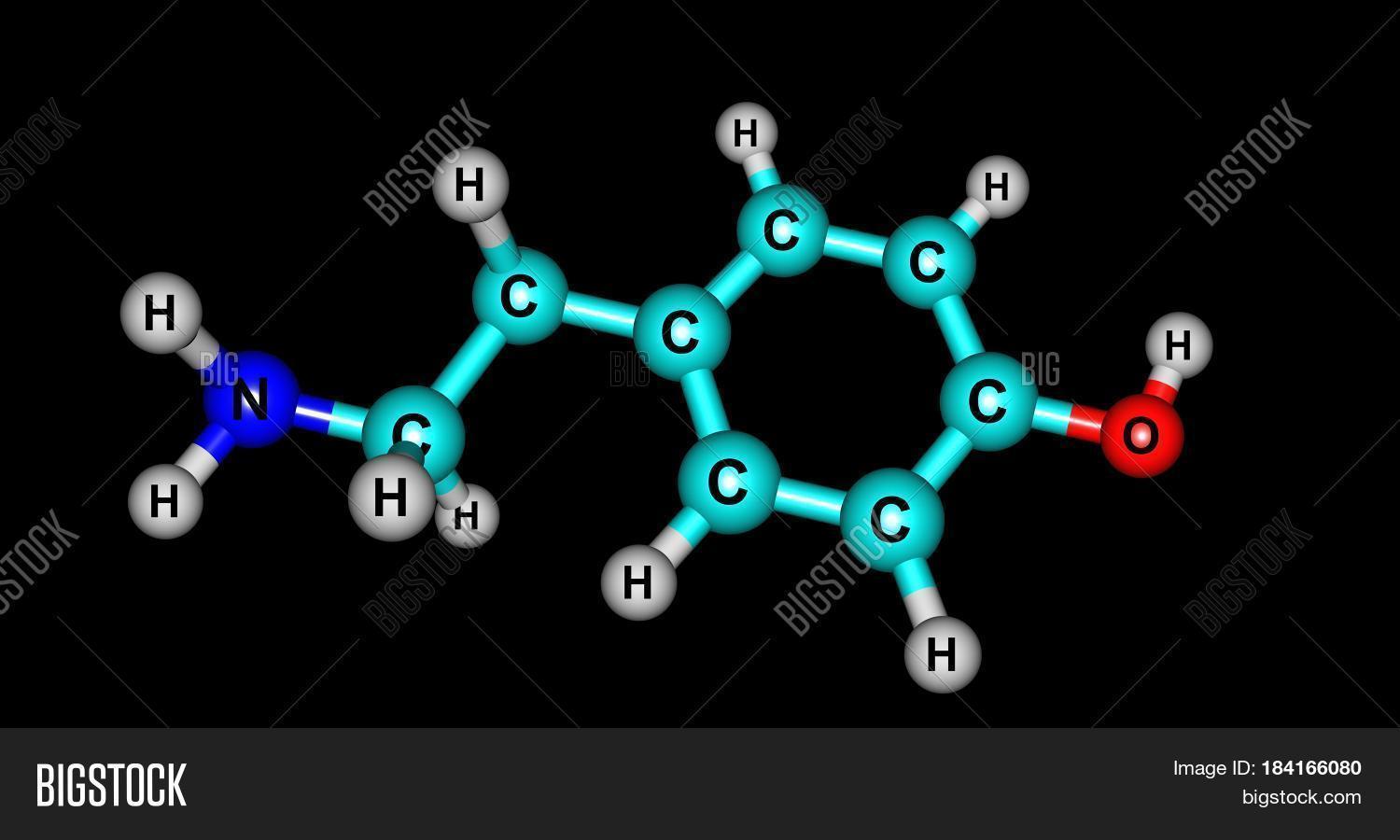Tyramine Naturally Image & Photo (Free Trial) | Bigstock