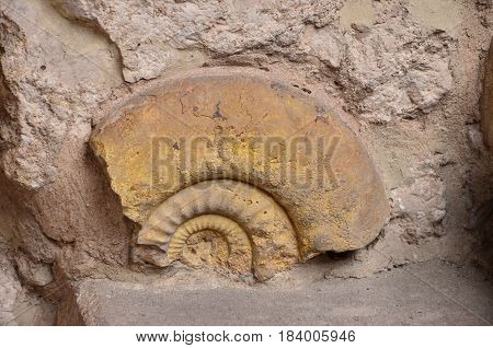 Historical remnants of an old shell of twenty thousand,
