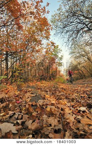 dvě cyklista relaxovat, cykloturistika