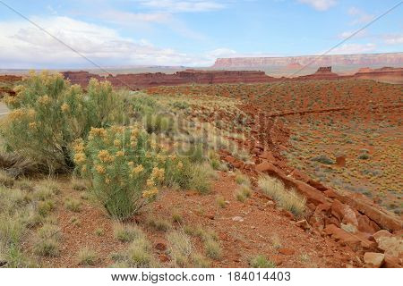 Valley of the Gods in Blanding, Utah