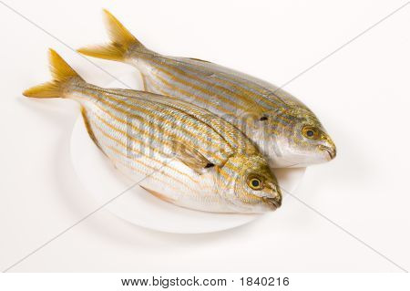 Čerstvé ryby