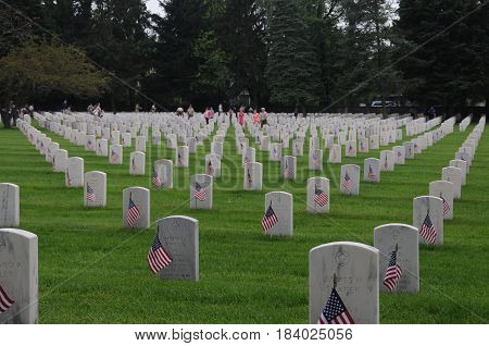 Zachery Taylor National Cemetery, Louiseville Kentucky, boy scouts put flags in front of headstones for Memorial Day, May 28th, 2016