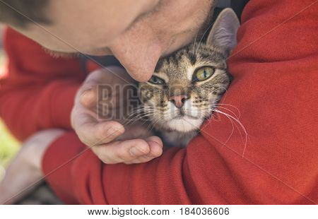 Man holding strret homeless grey cat with big olive eyes. Friendship of animals and people