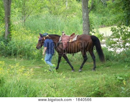 Frau Walking Horse