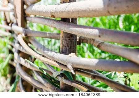 A woven wooden fence made of thin old branches in the countryside