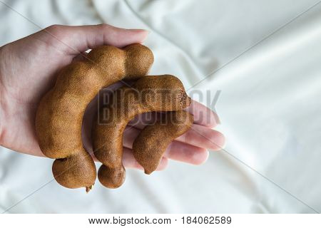 Ripe raw tamarind in female hand. Asian sweet fruit.