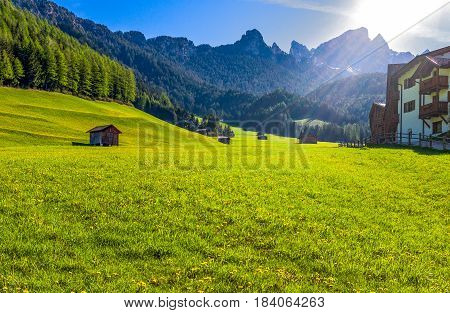 Italy Dolomites the green valley of Latemar