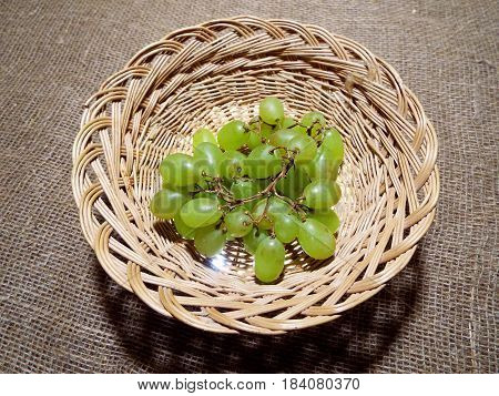 Bunch of green grapes with a juicy delicious ripe berries