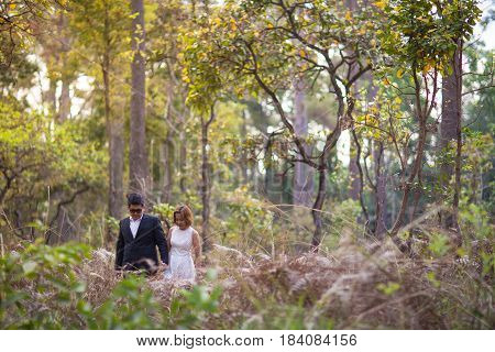 A couple in formal dress black suit and white dress romance in the pine forest before wedding, Thailand