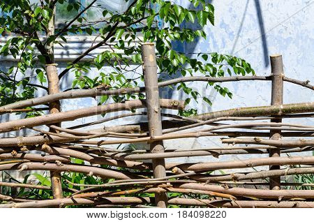 A braided wooden fence made of thin old branches in the countryside against the backdrop of an old house