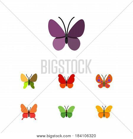 Flat Moth Set Of Moth, Milkweed, Monarch And Other Vector Objects. Also Includes Insect, Milkweed, Monarch Elements.