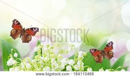 Bunch of Lilly of valley close up in garden with butterflies banner