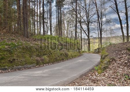 asphalt way leading to village Karba in Machuv kraj during sping in czech landscape
