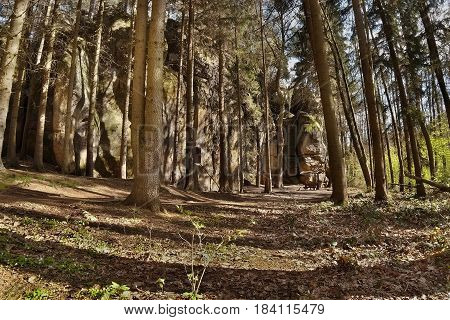 mysterious rock formation in Peklo valley in spring Machuv kraj region in Czech republic