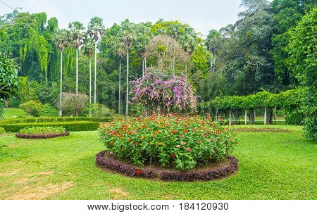 The Ornamental Garden In Sri Lanka