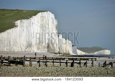 Seven Sisters chalk cliffs n the South Downs National Park Cuckmere Haven
