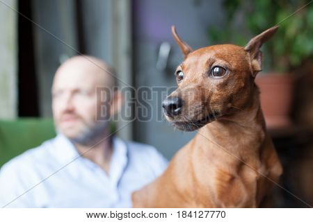 Dog And Its Owner Look Thoughtfully Out The Window, Watching The Street. Friendship Between A Dog An