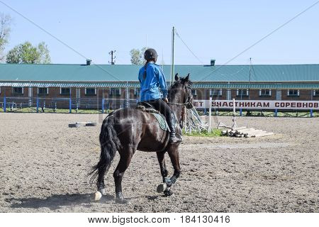Equestrian Sports With Teenagers. Horse Club. A Girl Is Riding A Horse.