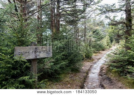 Cliff Tops Trail Sign near Mount LeConte