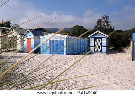 Shades of blue and white Beach huts in a row along a sandy Australian beach
