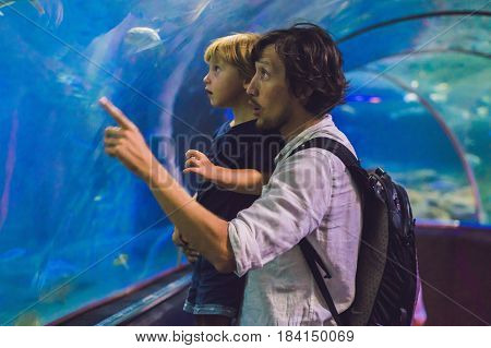 Father And Son Look At The Fish In The Aquarium In Oceanarium