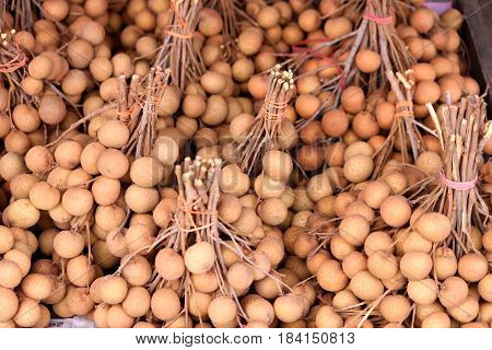 Wollongong on panel fruit in Rayong Thailand.