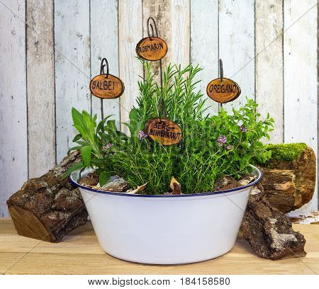 Many Herbs In An Old Wash Bowl.