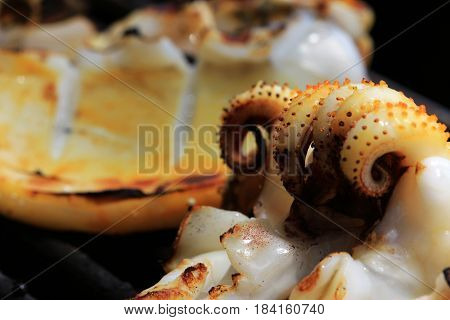 Grilled Squid Cooked on BBQ Stove Macro