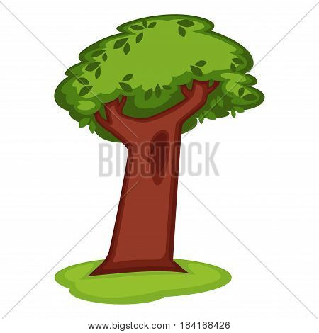 Cartoon green tree with massive trunk on grass vector illustration isolated on white. High plant with brown stem and greenery leaves. Colorful plant symbol of spring, summer season template
