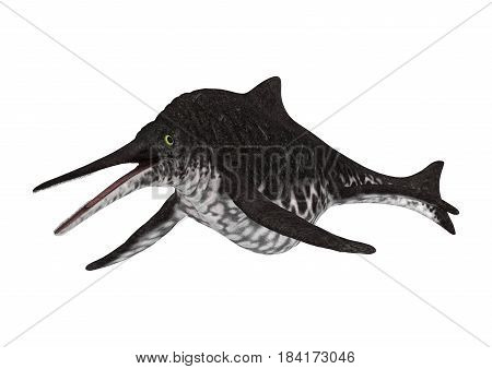 3D Rendering Ichthyosaur Shonisaurus On White